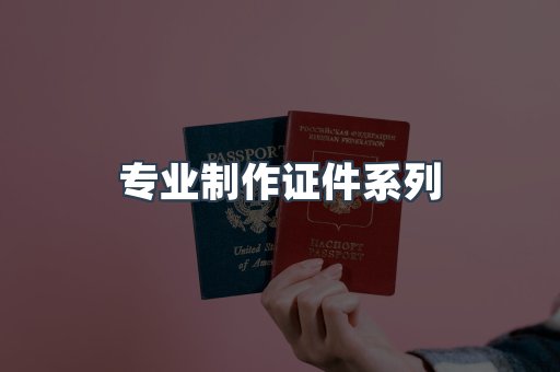 专业制作证件系列